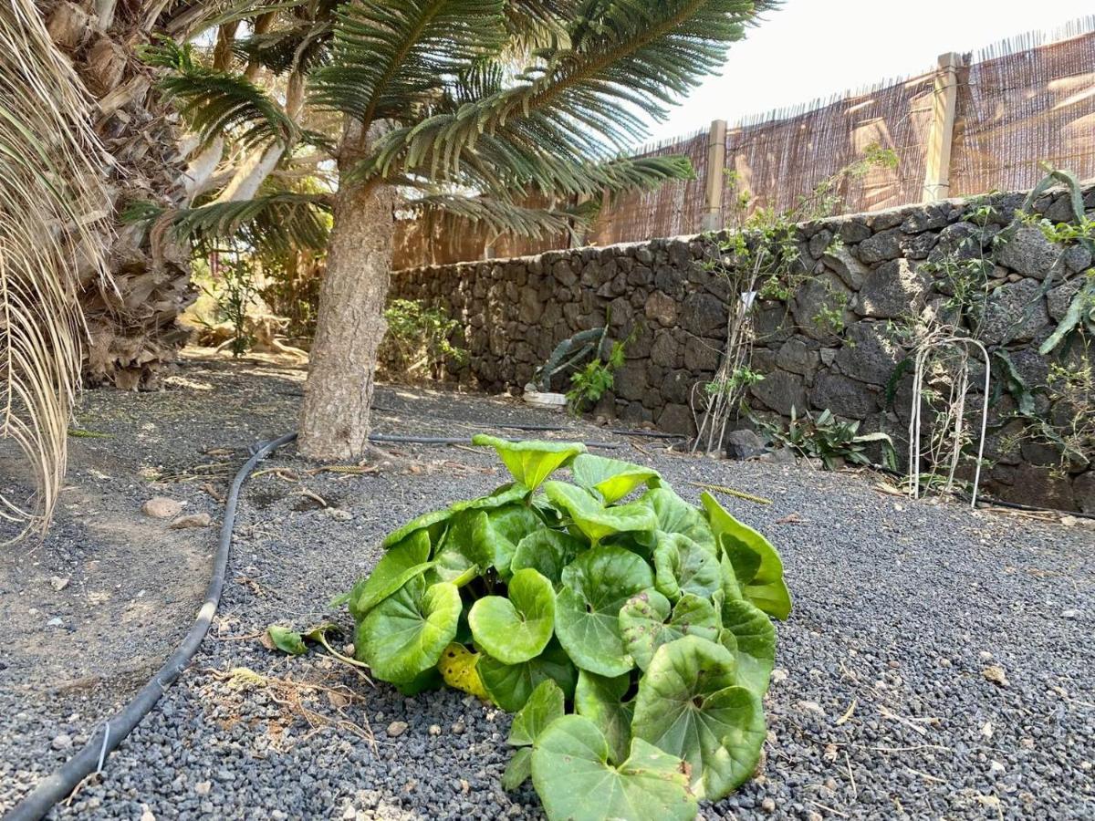 Cabanalanz, Cabanas En Lanzarote San Bartolome  Luaran gambar