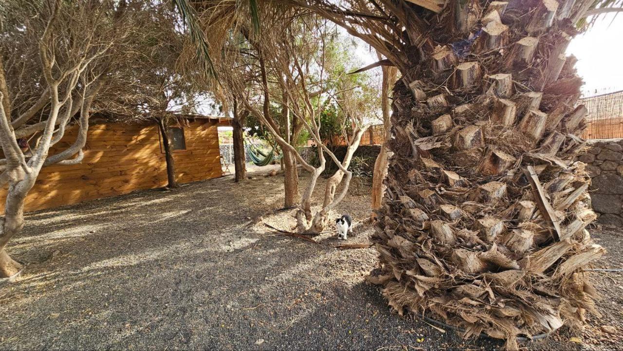 Cabanalanz, Cabanas En Lanzarote San Bartolome  Luaran gambar